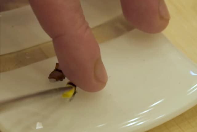 Video Of The World’s Smallest Sushi (Made With A Single Grain Of Rice)