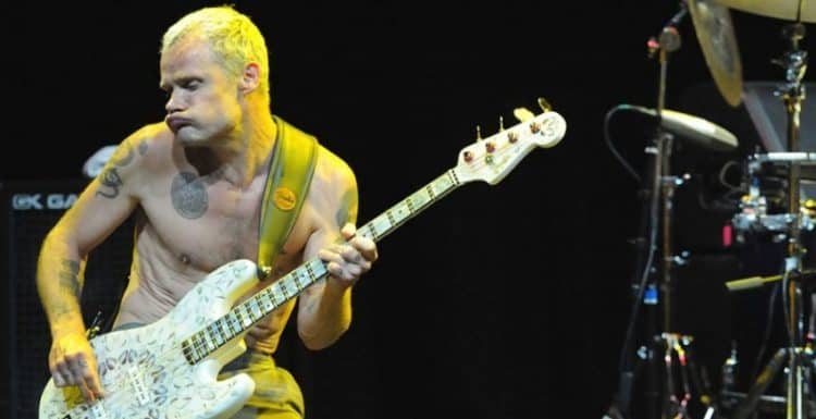 The 20 Best Rock Bassists of All-Time