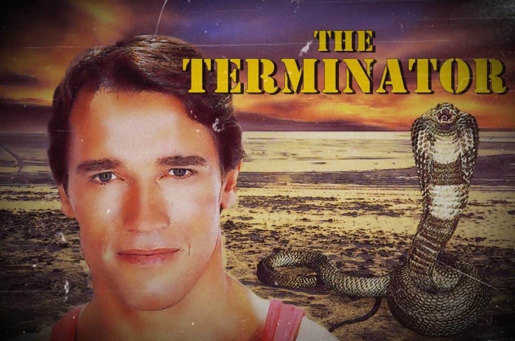 Is It Illegal To Watch Bootleg Movies Online 
