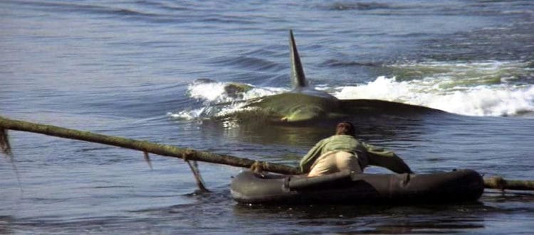 How &#8220;Jaws 2&#8221; Could Have Been a Completely Different Movie