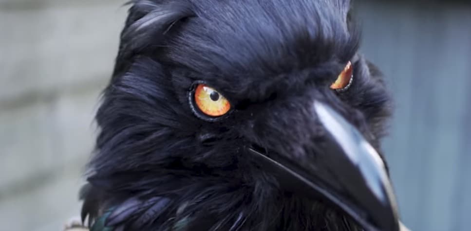 Amazing D&D Cosplay Brings Kenku To Life