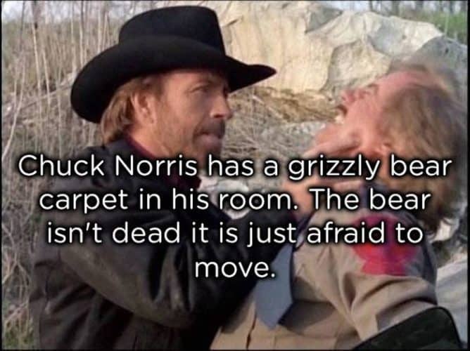 A Collection of Corny Chuck Norris Jokes that are Admittedly Hilarious