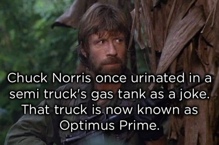 A Collection of Corny Chuck Norris Jokes that are Admittedly Hilarious