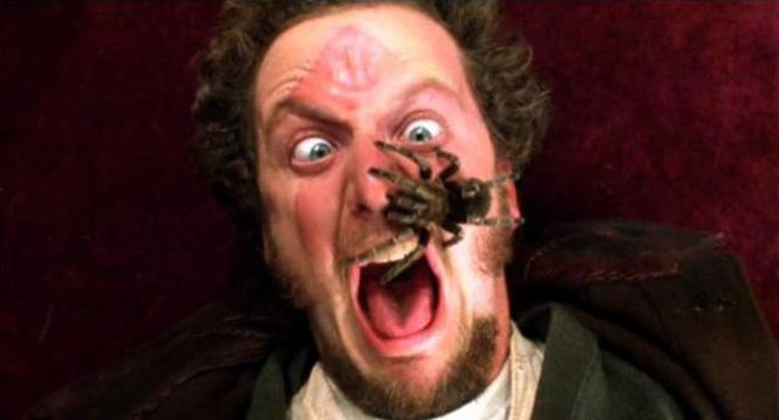 13 Interesting Facts about the Movie Home Alone