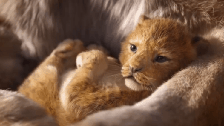 The Lion King Will Almost Certainly be a Billion Dollar Film
