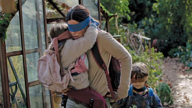 Bird Box