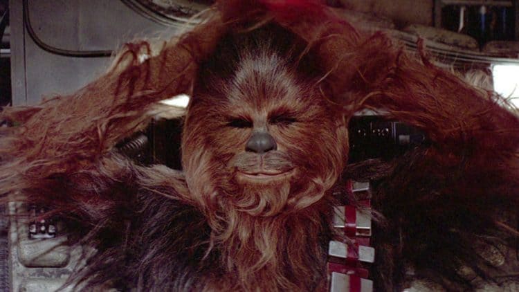 RIP Peter Mayhew AKA Chewbacca