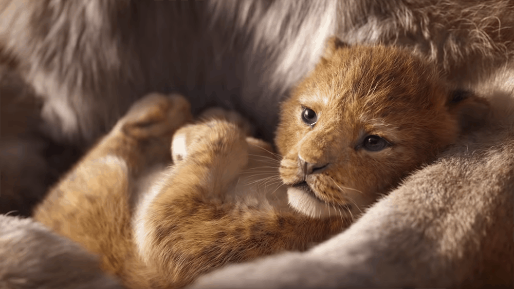 The (Cinematic) Circle of Life: Disney’s ‘Lion King’ Remake Fails to Live Up to the Original Movie’s Legacy