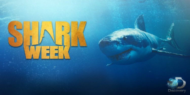 Shark Week