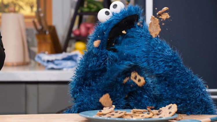 Cookie Monster