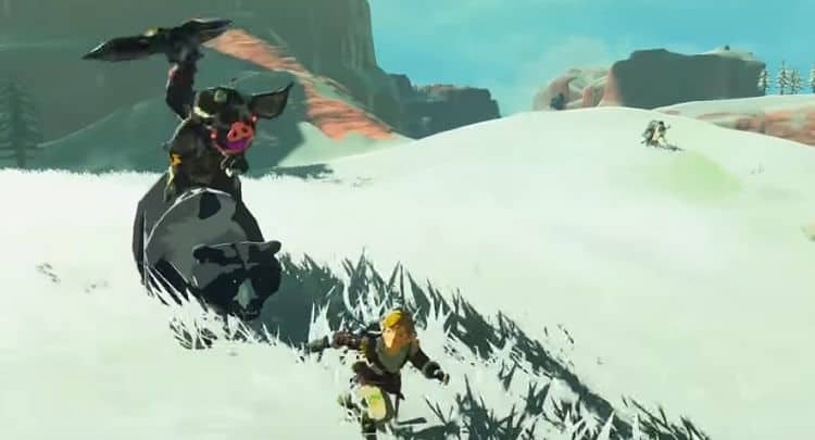 The Legend of Zelda: Breath of the Wild’s Rarest Details