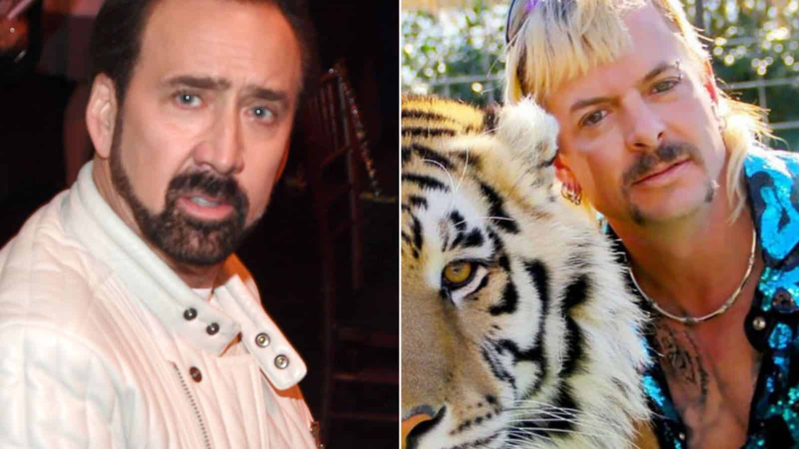 Yes, Nicolas Cage Will Be The Tiger King