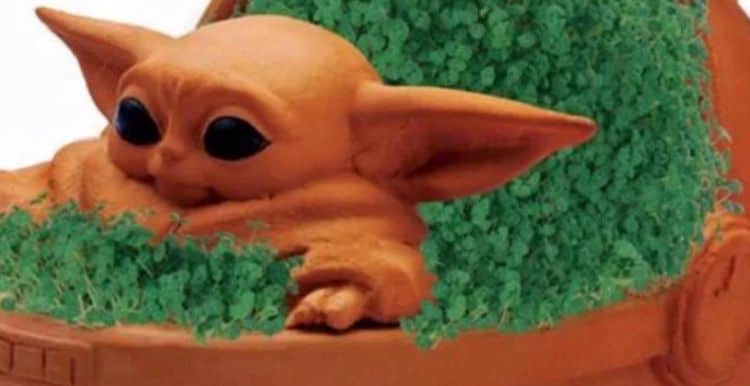 Yes, a Baby Yoda Chia Pet Now Exists