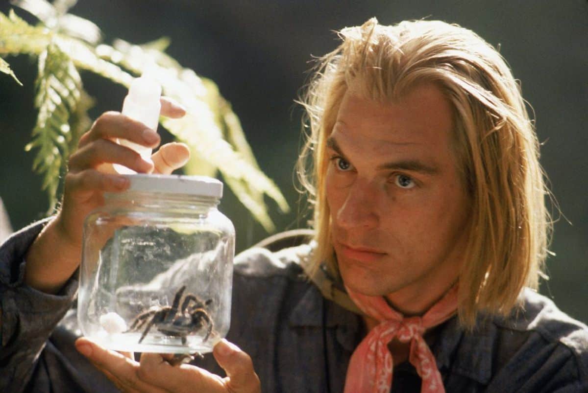 The Five Best Killer Insect Movies of All-Time