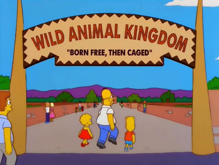 A Collection of Hilarious Signs Spotted in The Simpsons