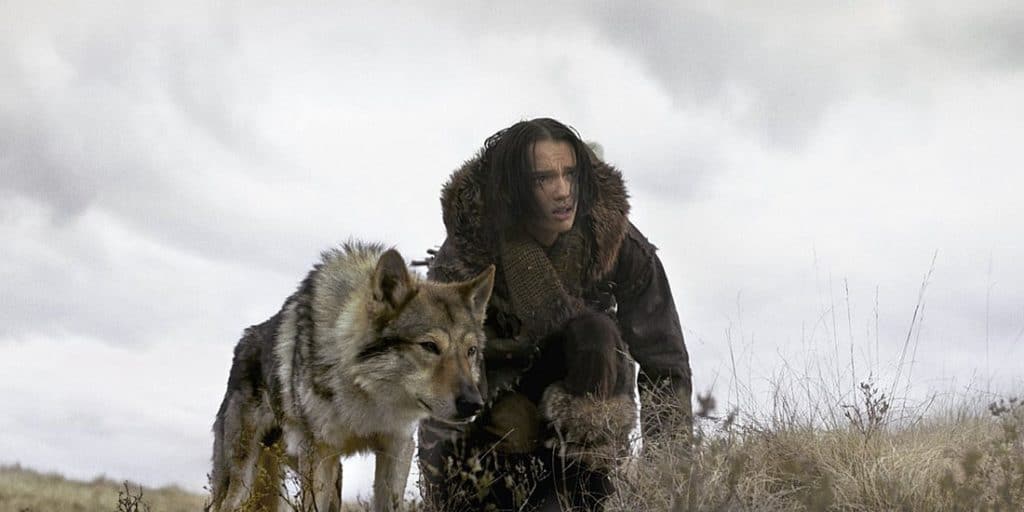 the-kinds-of-dogs-that-portray-wolves-in-movies