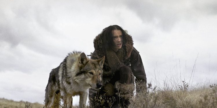 The Kinds of Dogs That Portray Wolves in Movies