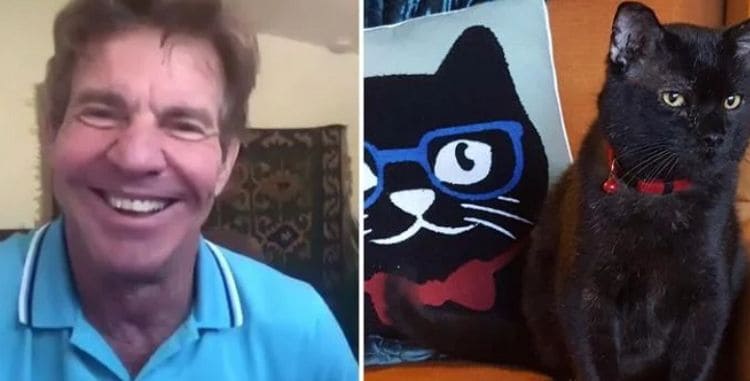 So Dennis Quaid Just Adopted a Cat Named Dennis Quaid