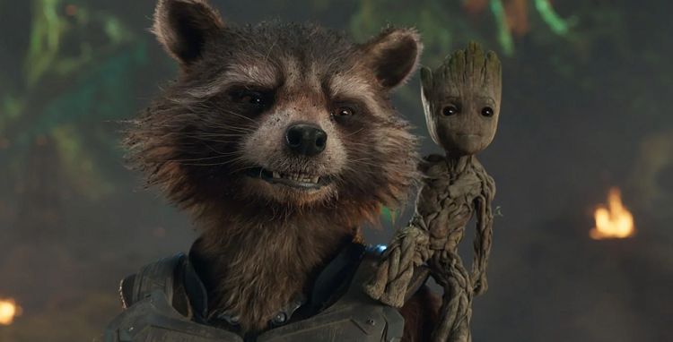 A Rocket And Groot Crossover Movie With Harley Quinn? Why Not?