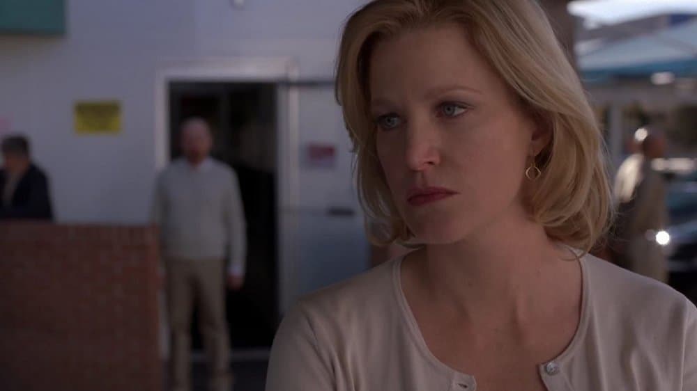 Whatever Happened to Anna Gunn after Breaking Bad?