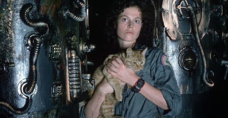 Ellen Ripley from Aliens Almost Showed up In Shane Black&#8217;s &#8220;The Predator&#8221;