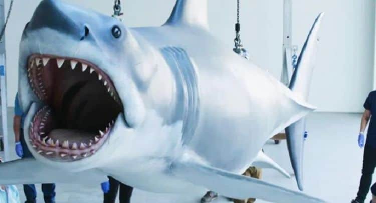 Shark from Jaws Immortalized at Academy Museum of Motion Pictures