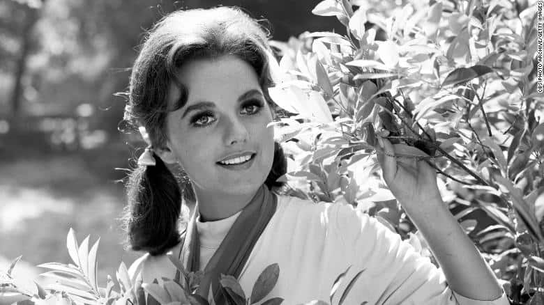 Remembering Dawn Wells: Actress Dies at 82