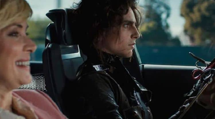 And Now Fans Want Timothee Chalamet in an Edward Scissorhands Reboot