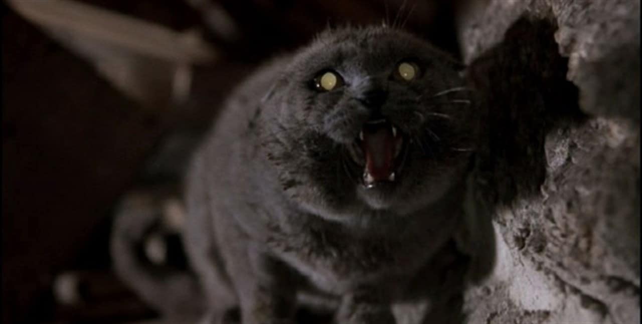 It Looks Like There’s Going to be a Pet Sematary Prequel