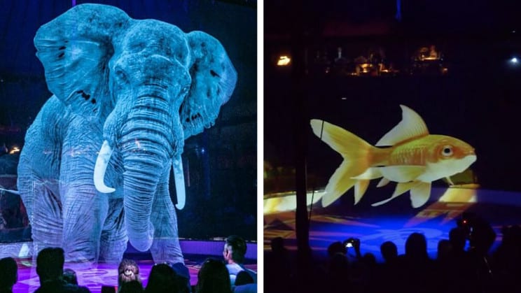 German Circus Uses Holograms Instead of Real Animals