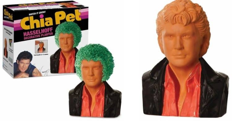 David Hasselhoff is Now an Official Chia Pet