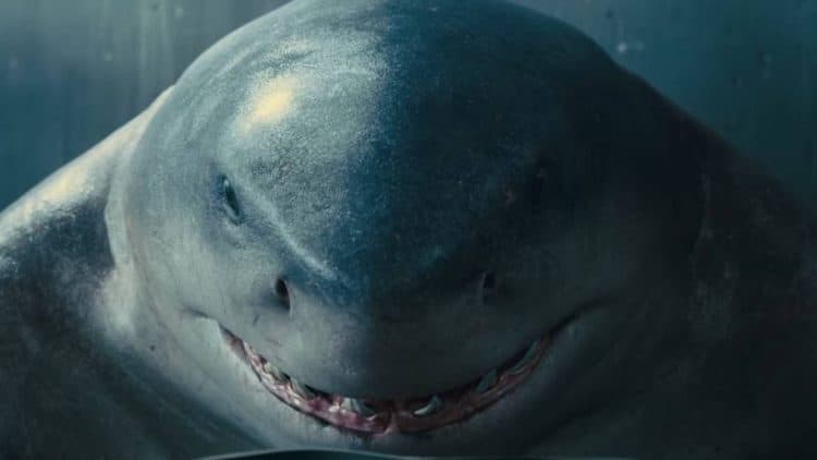 King Shark Gets His Own Trailer in Honor of Shark Week