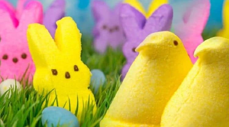 Peeps Are Officially Getting Their Own Animated Movie