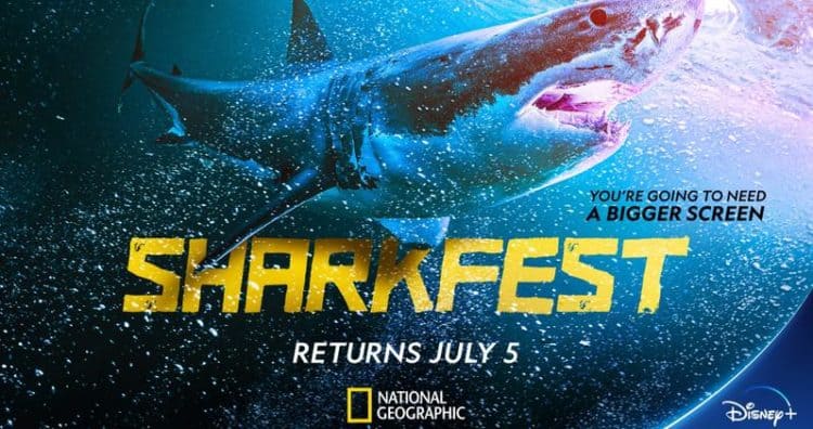 National Geographic&#8217;s &#8220;Sharkfest&#8221; Lineup Looks Quite Impressive