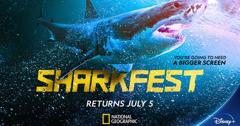 National Geographic’s “Sharkfest” Lineup Looks Quite Impressive