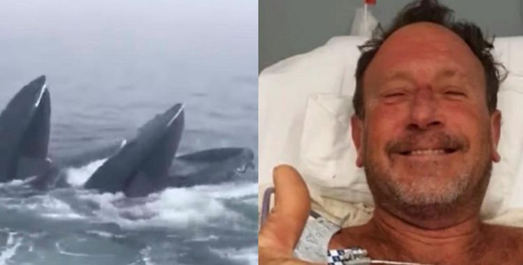 Guy Who Was Nearly Swallowed by Whale Recalls The Harrowing Experience