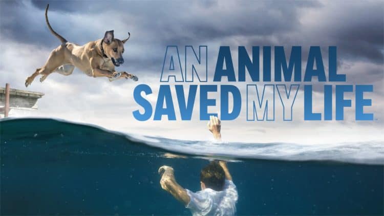 10 Things You Didn&#8217;t Know about &#8220;An Animal Saved My Life&#8221;