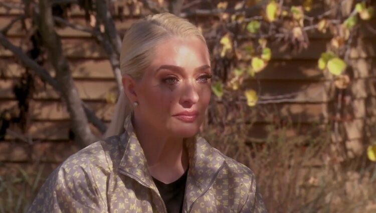 The Reason Why Erika Jayne Was Fired From Real Housewives