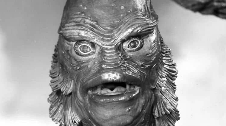 The Unlikely Inspiration For The Creature From The Black Lagoon