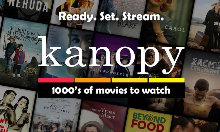 5 Must-Stream Movies to Watch on Kanopy in August 2021