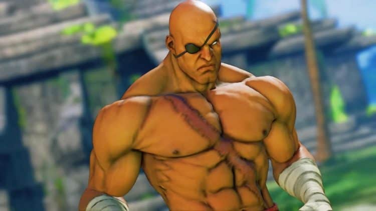 The 10 Best Street Fighter Characters of All-Time