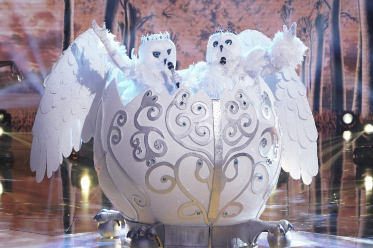 Remembering The Snow Owls From The Masked Singer Season 4