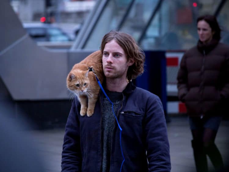 Five Movies Every Cat Lover Should Watch – TVovermind