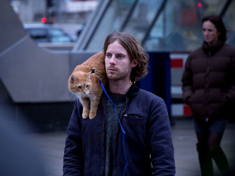 Five Movies Every Cat Lover Should Watch