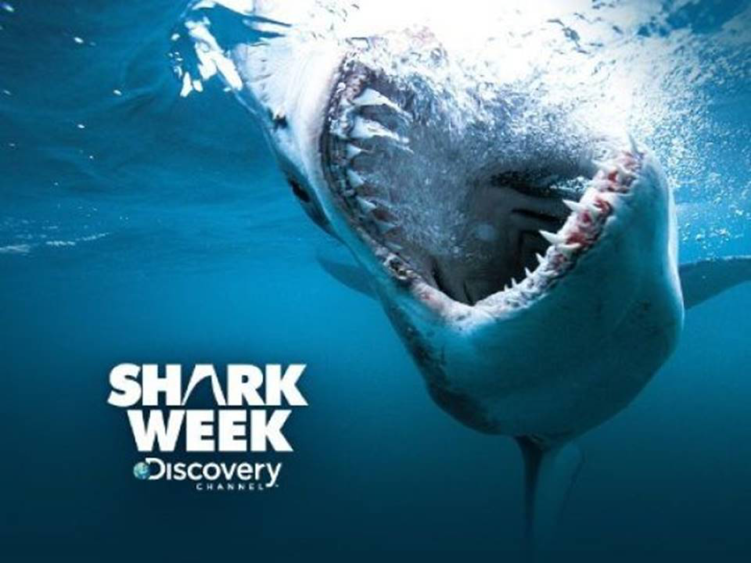 Dive into Shark Week 2022: Celebrities, Specials, and Excitement