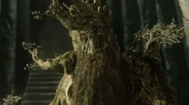 Treebeard 