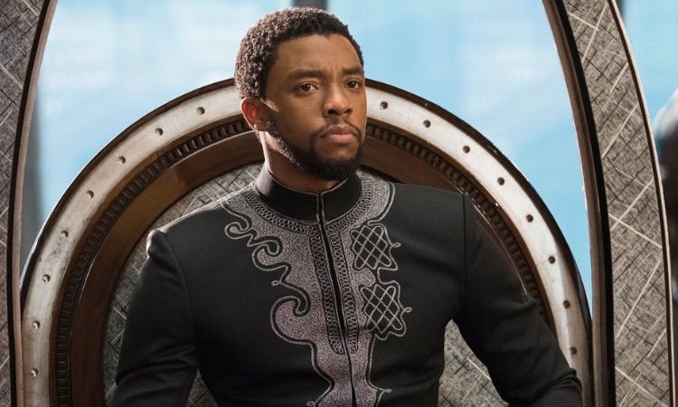 How Black Panther Is An Essential Addition To The MCU Timeline