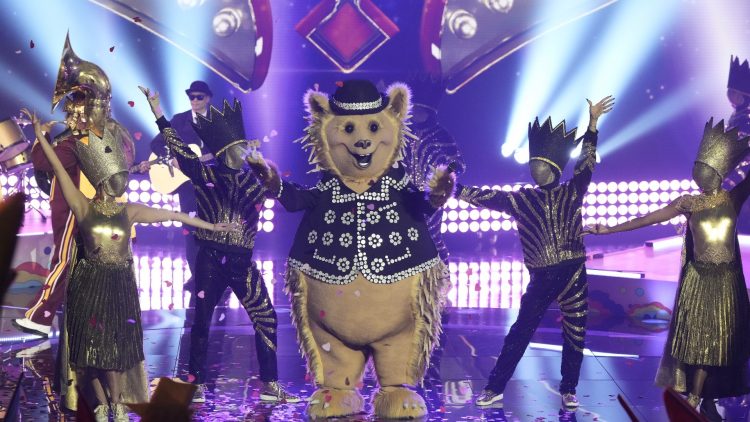 The Masked Singer, Singing Competition Series Detailed