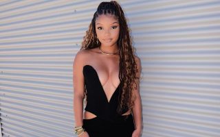 Why Halle Bailey’s Casting As Little Mermaid Shocked Director Marshall