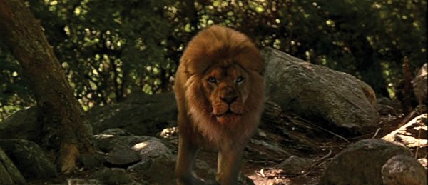 5 of the Deadliest Animals in Movies